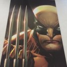 2022 Marvel Comics Wolverine Scott Williams Virgin Variant #23