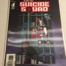 2014 DC Comics New 52 Futures End Suicide Squad Lenticular Cover #1 2014 DC Comics New 52 Futures End Suicide Squad Lenticular Cover #1