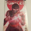 2024 IDW Comics TMNT Untold Destiny of The Foot Clan #1