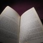 STAN LEE's First Novel! DUNN'S CONDUNDRUM Paperback! 1st Printing! $10.00 obo!