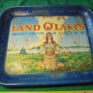 Antique LAND O' LAKES METAL SERVING TRAY! 1940's? 50's?! $32.00 Shipped!