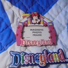 DISNEYLAND REFRIGERATOR MAGNETS LOT!!! $18.00 Shipped!! DISNEYLAND REFRIGERATOR MAGNETS LOT!!! $18.00 Shipped!!