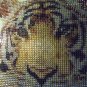 Stamped Printed Pattern TIGER BEADED ART on Board! $16.00 Shipped!