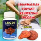 Bio-LingZhi Capsules 250mg Ganoderma Lucidum Mushroom Improve Immune System Support