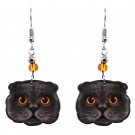 Scottish Fold Cat Face Earrings Pet Head Graphic Art Animals Cute Kitten Jewelry