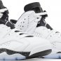 Air Jordan 6 Retro Reverse Oreo CT8529 112