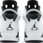 Air Jordan 6 Retro Reverse Oreo CT8529 112