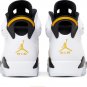 Air Jordan 6 Retro Yellow Ochre CT8529 170