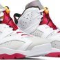 Air Jordan 6 Retro Hare CT8529 062