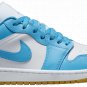 Mens Wmns Air Jordan 1 Low Dark Powder Blue Gum DC0774-104