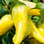 100 Pcs Pepper Sweet Banana Seeds Capsicum Annuum