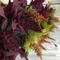 100 Pcs Amaranthus Red Spike Seeds Amaranthus Retroflexus