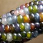 50 Pcs Ornamental Corn Glass Gem Seeds