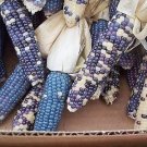 100 Pcs Ornamental Corn Miniature Blue White Purple Seeds