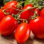 50 Pcs Tomato Roma Seeds