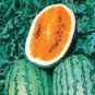 25 Pcs Tendersweet Orange Watermelon Seeds
