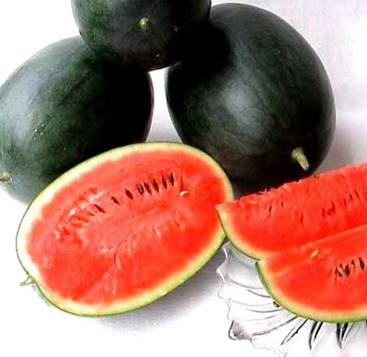25 Pcs Black Diamond Watermelon Seeds