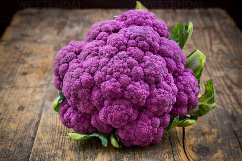 50 Pcs Purple Cauliflower Seeds