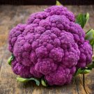 50 Pcs Purple Cauliflower Seeds