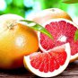 10 Pcs Red Grapefruit Citrus Seeds