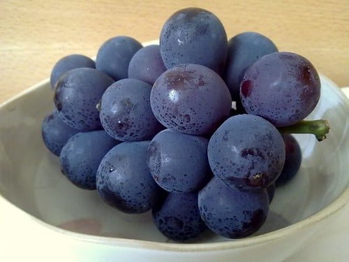 40 Pcs Kyoho Grapes Seeds