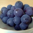 40 Pcs Kyoho Grapes Seeds