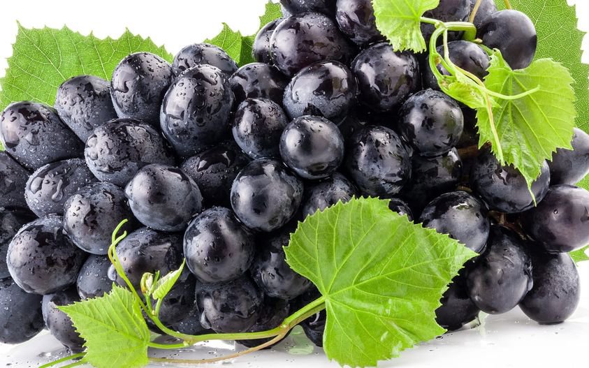 10 Pcs Black Grape Seeds