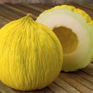 20 Pcs Golden Beauty Casaba Melon Seeds
