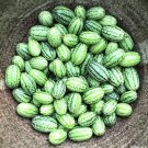 10 Pcs Cucamelon Mouse Melon Sour Gherkin Seeds