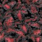 50 Pcs Coleus Black Dragon Seeds