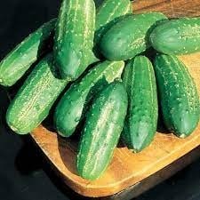 25 Pcs Calypso Cucumber Seeds