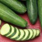 25 Pcs Burpless Cucumber Seeds