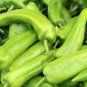 50 Pcs Anaheim Chili Pepper Seeds