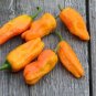 25 Pcs Golden Greek Pepperoncini Pepper Seeds