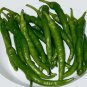 25 Pcs Golden Greek Pepperoncini Pepper Seeds