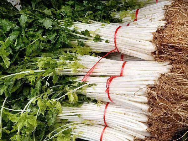 100 Pcs Chinese White Celery Seeds