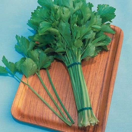 100 Pcs Chinese Celery Seeds