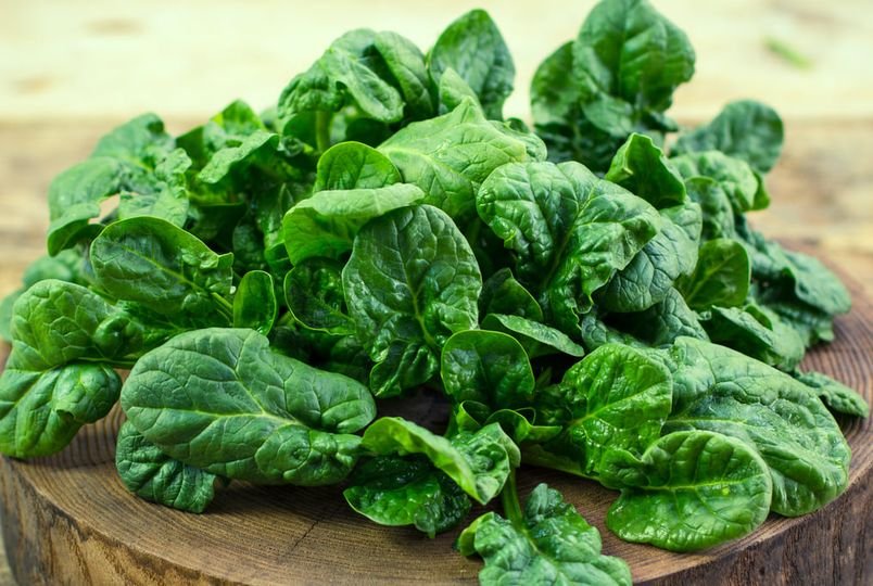 100 Pcs Bloomsdale Spinach Seeds