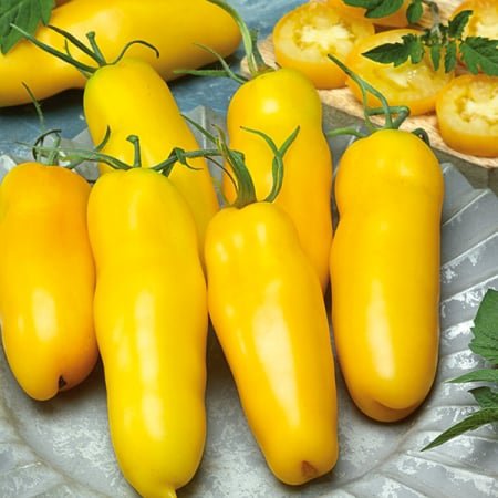 30 Pcs Black Cherry Tomato Seeds
