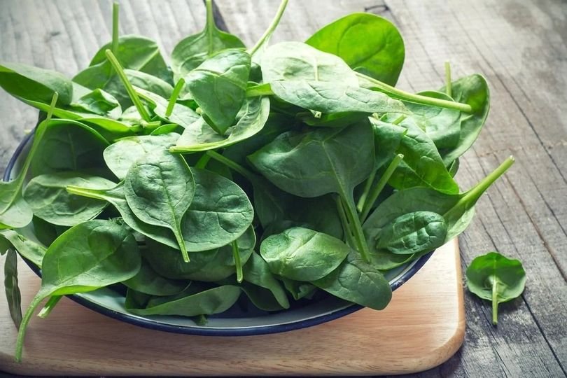 200 Pcs Big Round Leaf Spinach Seeds