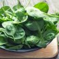 200 Pcs Big Round Leaf Spinach Seeds