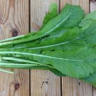 100 Pcs Tendergreen Mustard Spinach Seeds