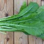 100 Pcs Tendergreen Mustard Spinach Seeds
