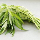 50 Pcs Thai Water Spinach Seeds