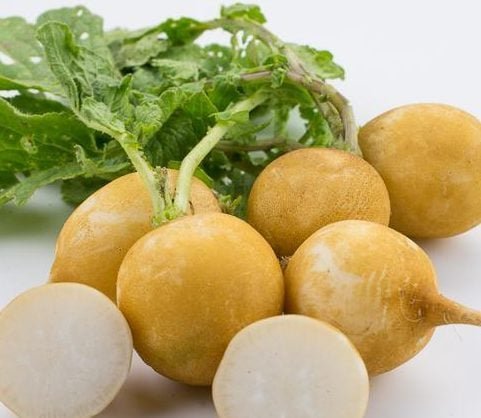 50 Pcs Golden Radish Seeds