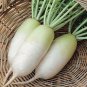 300 Pcs Daikon Radish Seeds