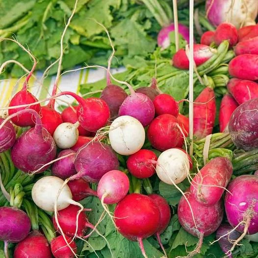 100 Pcs Easter Egg Radish Seeds