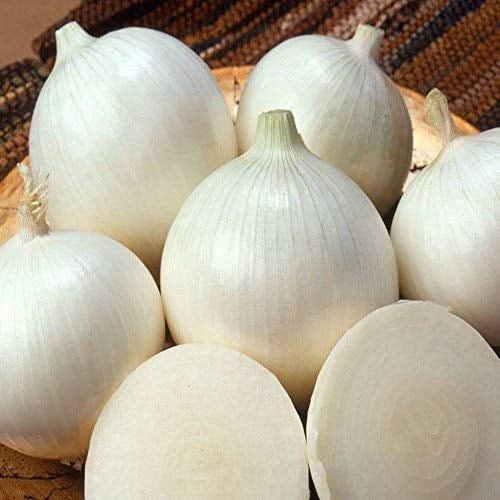 100 Pcs White Sweet Spanish Onion Seeds