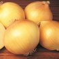50 Pcs Utah Yellow Sweet Spanish Onion Seeds