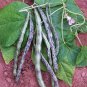20 Pcs Rattlesnake Bean Seeds